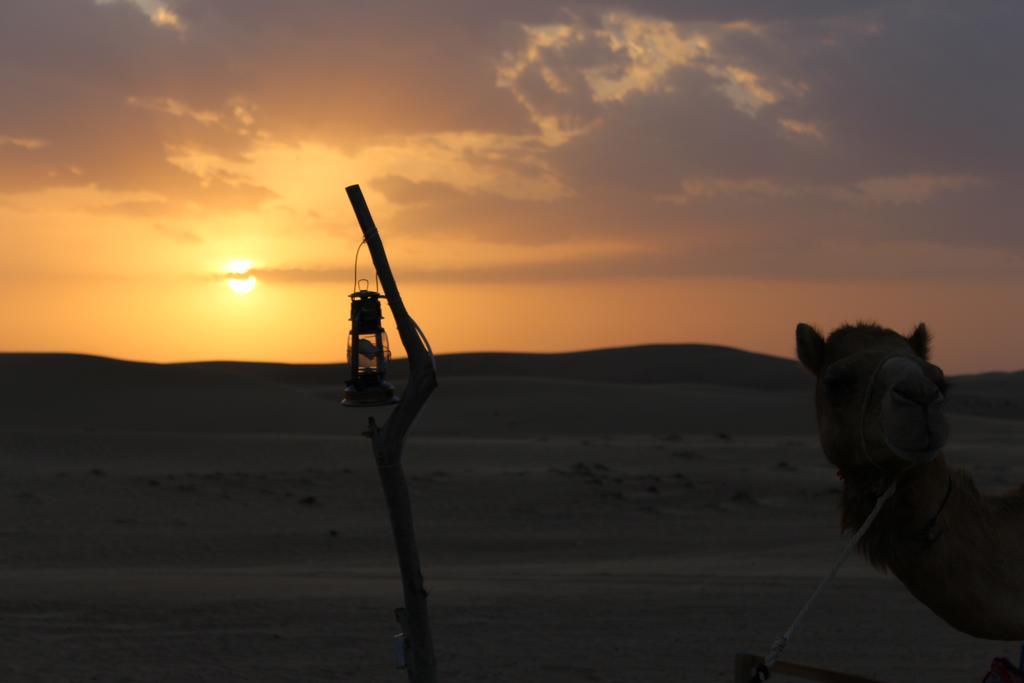 Legend Desert Camp Fulayj al Masha'ikh المظهر الخارجي الصورة